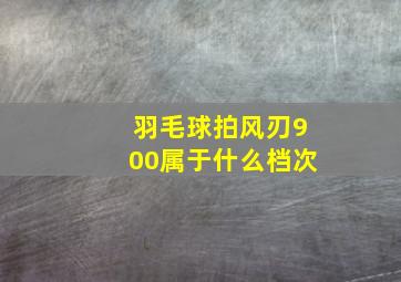 羽毛球拍风刃900属于什么档次