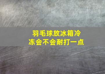 羽毛球放冰箱冷冻会不会耐打一点