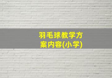 羽毛球教学方案内容(小学)