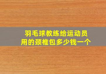 羽毛球教练给运动员用的颈椎包多少钱一个