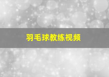 羽毛球教练视频