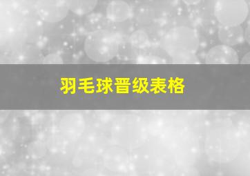 羽毛球晋级表格