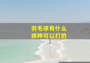 羽毛球有什么球种可以打的