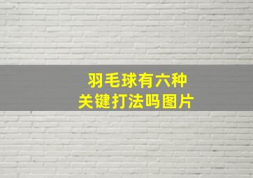 羽毛球有六种关键打法吗图片