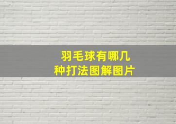 羽毛球有哪几种打法图解图片