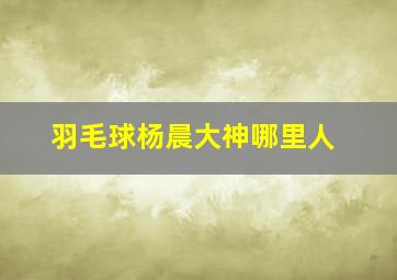 羽毛球杨晨大神哪里人