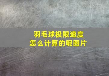 羽毛球极限速度怎么计算的呢图片