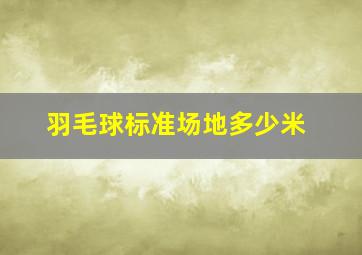 羽毛球标准场地多少米