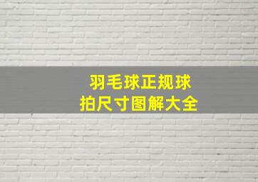 羽毛球正规球拍尺寸图解大全