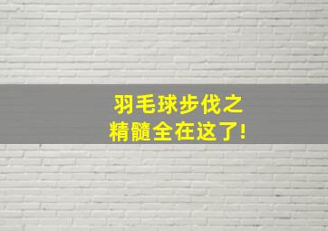 羽毛球步伐之精髓全在这了!