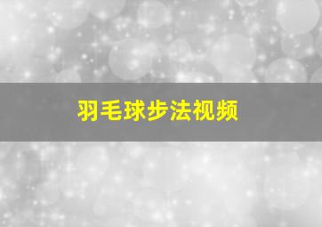 羽毛球步法视频