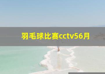 羽毛球比赛cctv56月