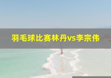 羽毛球比赛林丹vs李宗伟