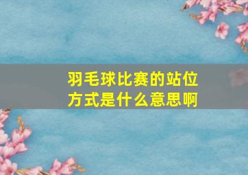 羽毛球比赛的站位方式是什么意思啊