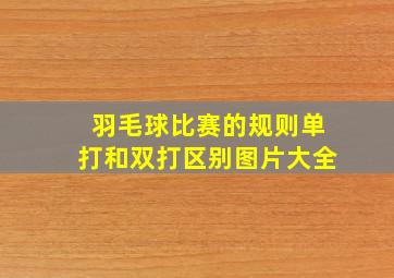 羽毛球比赛的规则单打和双打区别图片大全