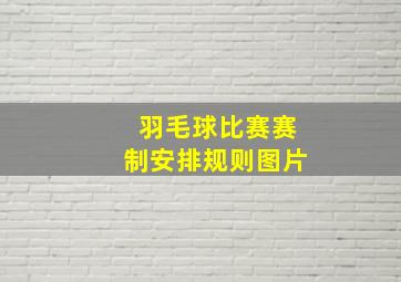 羽毛球比赛赛制安排规则图片