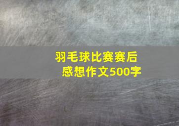 羽毛球比赛赛后感想作文500字