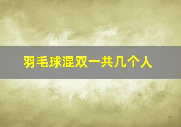 羽毛球混双一共几个人