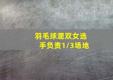 羽毛球混双女选手负责1/3场地