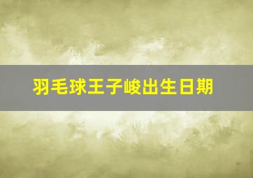 羽毛球王子峻出生日期