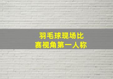 羽毛球现场比赛视角第一人称