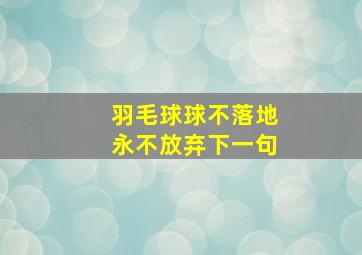 羽毛球球不落地永不放弃下一句