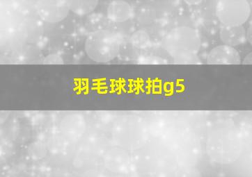 羽毛球球拍g5