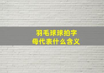 羽毛球球拍字母代表什么含义