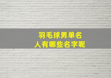 羽毛球男单名人有哪些名字呢