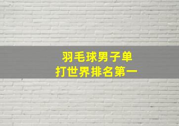 羽毛球男子单打世界排名第一