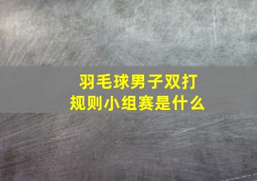 羽毛球男子双打规则小组赛是什么