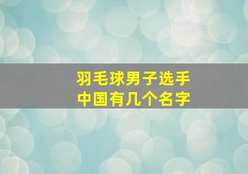 羽毛球男子选手中国有几个名字