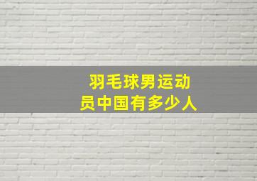 羽毛球男运动员中国有多少人