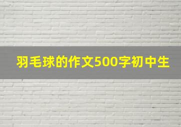 羽毛球的作文500字初中生