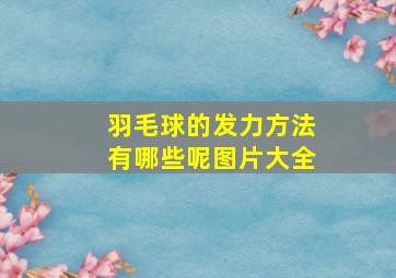 羽毛球的发力方法有哪些呢图片大全