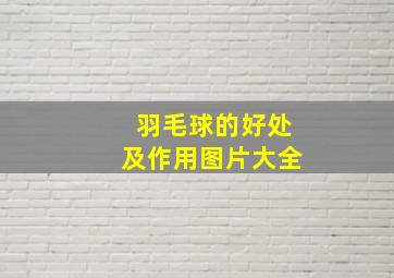 羽毛球的好处及作用图片大全