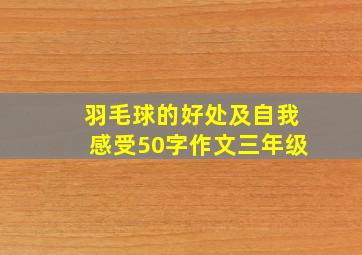 羽毛球的好处及自我感受50字作文三年级