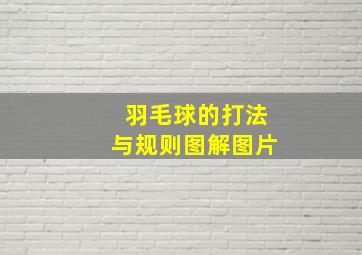 羽毛球的打法与规则图解图片