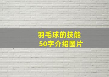 羽毛球的技能50字介绍图片