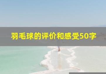 羽毛球的评价和感受50字