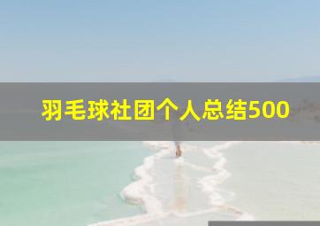 羽毛球社团个人总结500