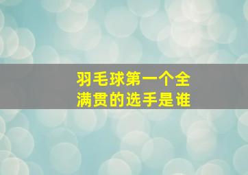 羽毛球第一个全满贯的选手是谁