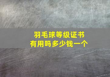 羽毛球等级证书有用吗多少钱一个