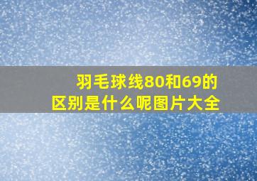 羽毛球线80和69的区别是什么呢图片大全