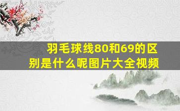 羽毛球线80和69的区别是什么呢图片大全视频