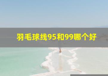 羽毛球线95和99哪个好