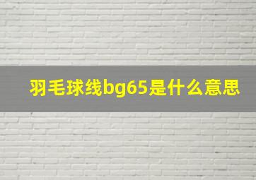 羽毛球线bg65是什么意思