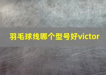 羽毛球线哪个型号好victor