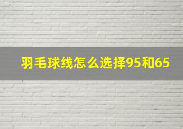 羽毛球线怎么选择95和65