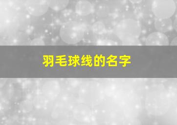 羽毛球线的名字